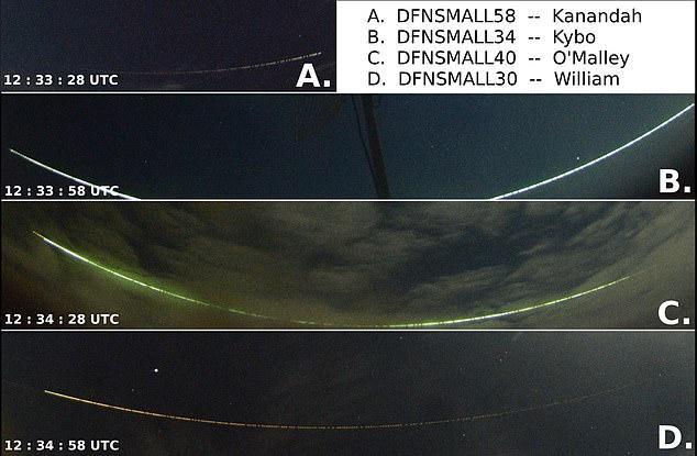金星_天文行星|金星有生命出现“新说法”！哈佛专家：如存在，可能是来自地球