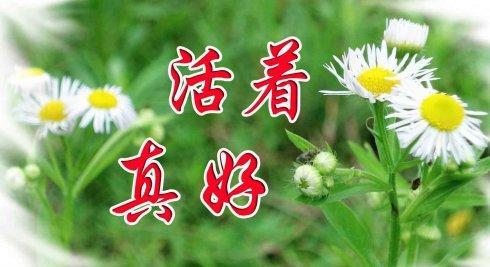 珍爱生命以一颗勇敢的心活着ca4230航班疑似自戕事件评述