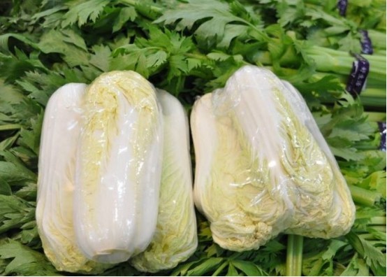 娃娃菜|想要种植娃娃菜，学会了这些，其实超简单