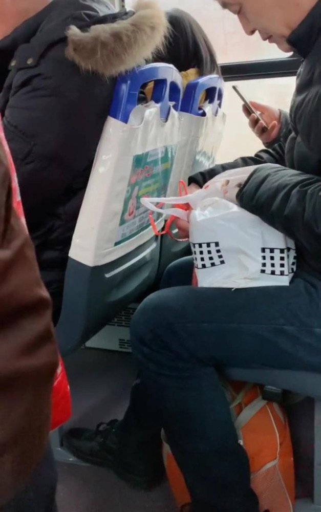 猫包|公交车上传来猫叫声，一转头却被萌到了：太可爱了吧？