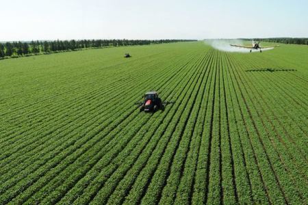 东北地区|“北大荒”为何要退耕还“荒”？