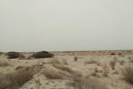 东北地区|“北大荒”为何要退耕还“荒”？