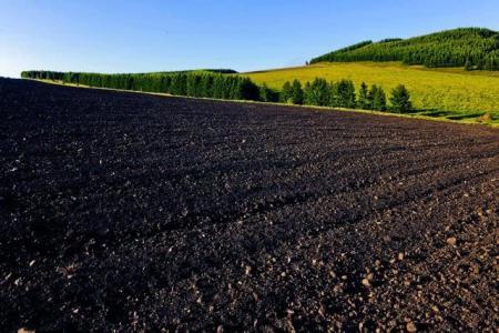 东北地区|“北大荒”为何要退耕还“荒”？