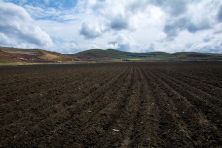 东北地区|“北大荒”为何要退耕还“荒”？