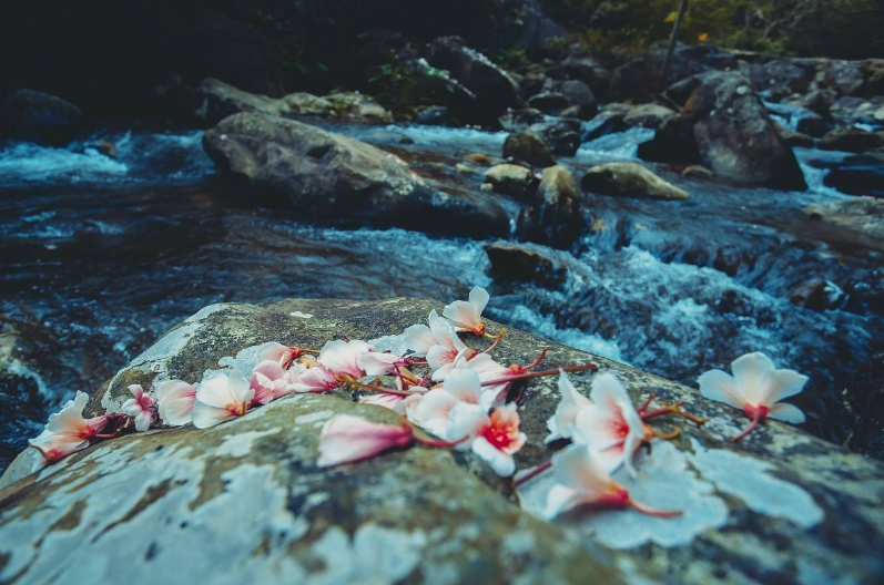 李煜|李煜很牛的词，字不多却诞生3个千古名句，一向挑剔的王国维点赞