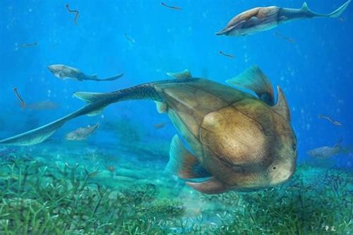 达尔文|人类起源最大的骗局，存在100多年，3亿年前人类是条鱼？