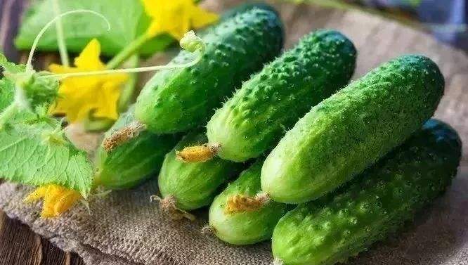 蔬菜|乾隆皇帝为什么能在过年时吃上新鲜水果蔬菜？答案在这