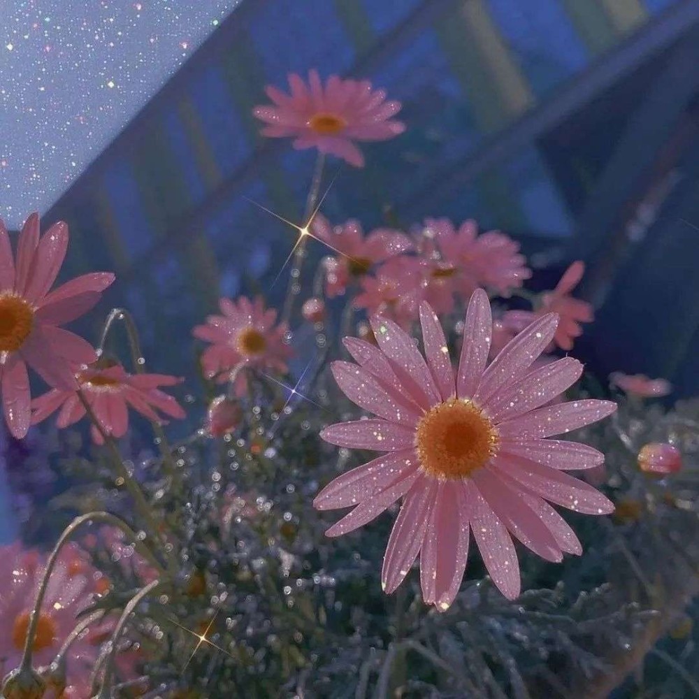 温柔干净的句子,无关爱情