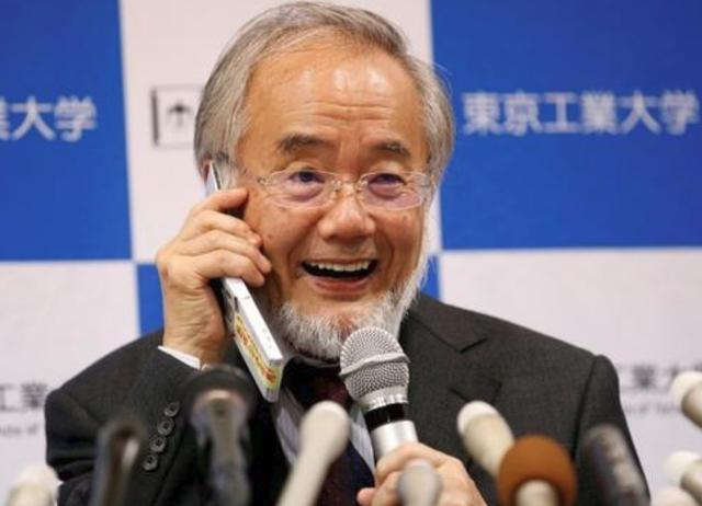 大隅良典|日本凭什么连续20年每年获得一个诺奖？看看大隅良典的传奇人生