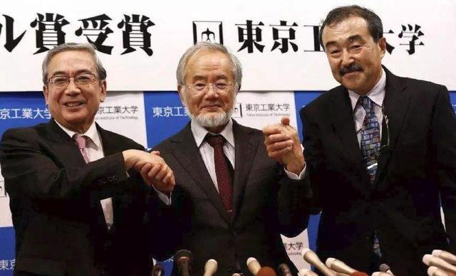 大隅良典|日本凭什么连续20年每年获得一个诺奖？看看大隅良典的传奇人生