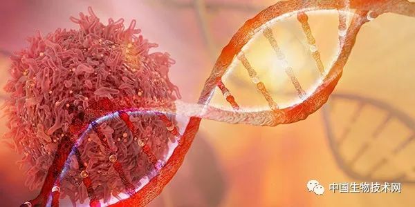 癌症|癌症在逐渐年轻化！最近10年，年轻人患癌数量正不断增加