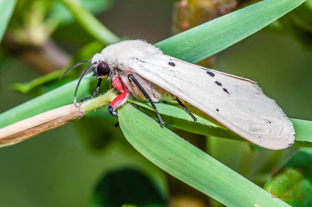 人类进化|人类进化到现在，还有哪些地方可以继续进化？