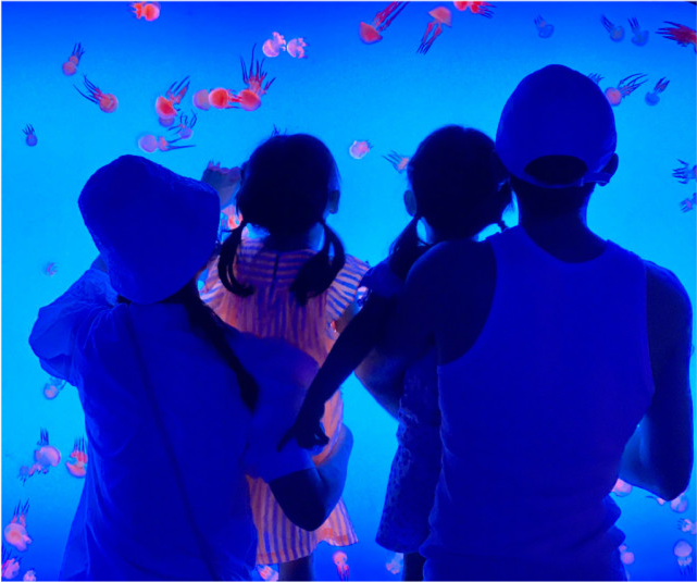 张杰|张杰谢娜双双晒全家福庆结婚9周年，力破那些婚变传闻