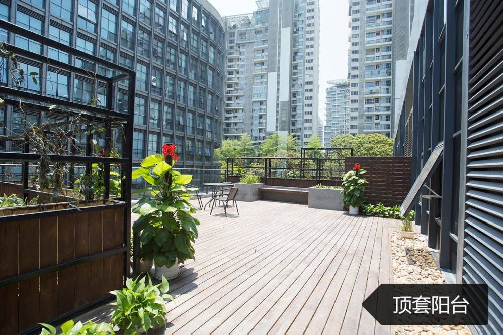 林峯|林峯官宣当爸，港媒传张馨月生女，36万顶级月子房豪华内景曝光