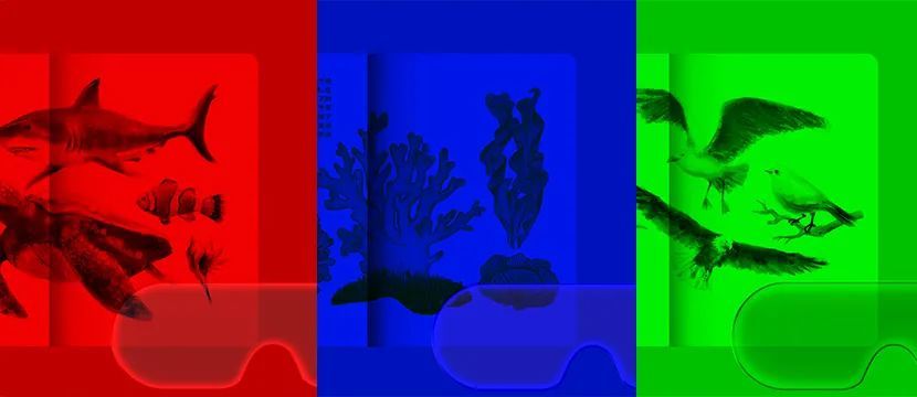 科小贝|持证进馆，打开你的好奇心