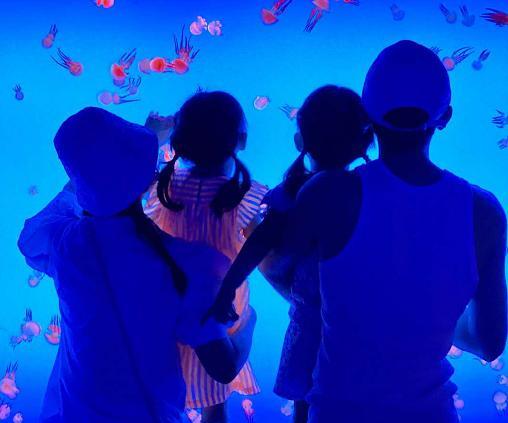 谢娜|谢娜张杰怀抱双胞胎合照！2岁女儿们身高优越，一家四口惹人羡