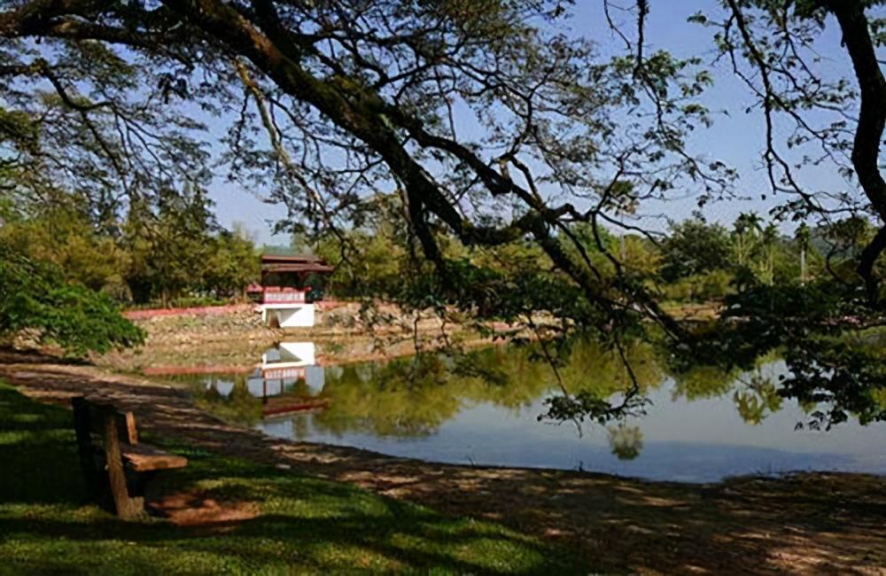 老舍|老舍跳湖前，在公园湖边坐了整整一天，是什么让他最终决定去死？