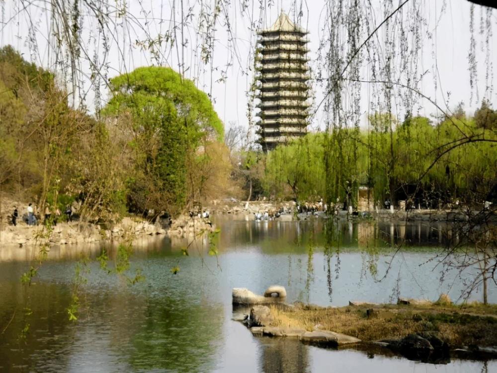 老舍|老舍跳湖前，在公园湖边坐了整整一天，是什么让他最终决定去死？