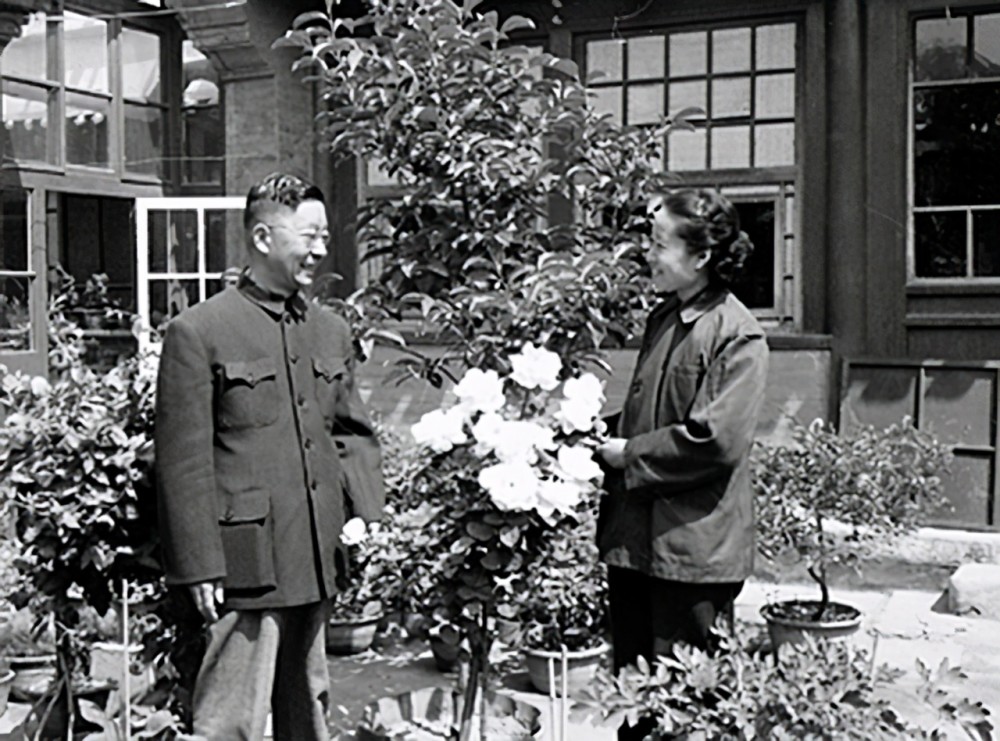 老舍|老舍跳湖前，在公园湖边坐了整整一天，是什么让他最终决定去死？