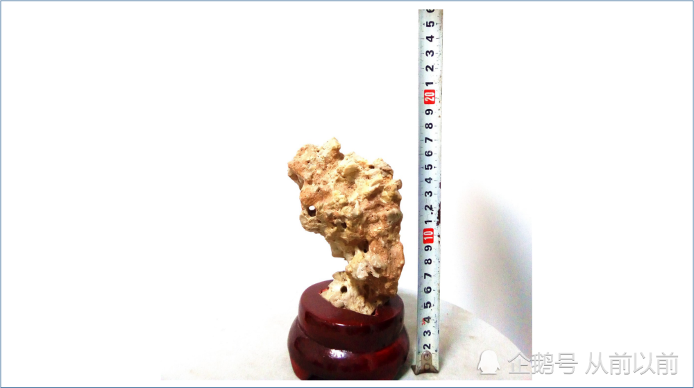 奇石|奇石交流的圈子会继续壮大吗？