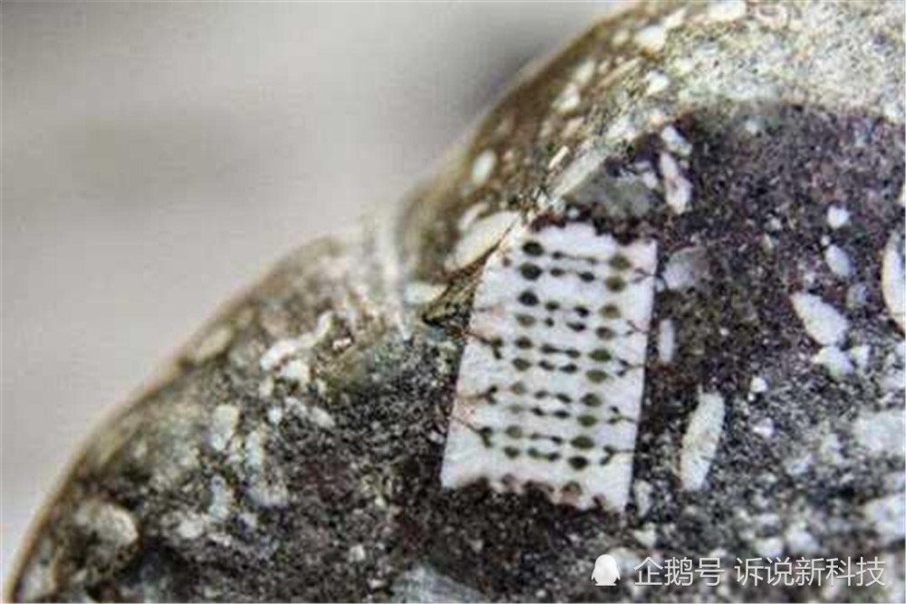 科学家|地球文明在循环？科学家发现2.5亿年前“芯片”，或不是人造产物！