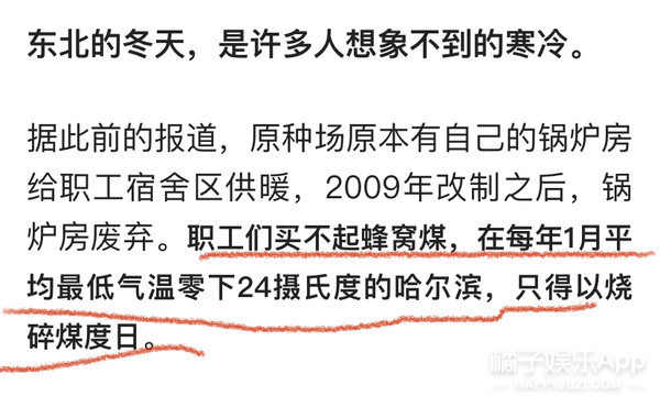 曲婉婷|没见过比她更装的了……