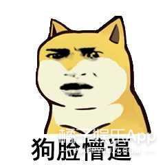 曲婉婷|没见过比她更装的了……