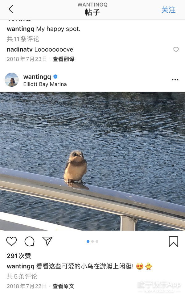 曲婉婷|没见过比她更装的了……