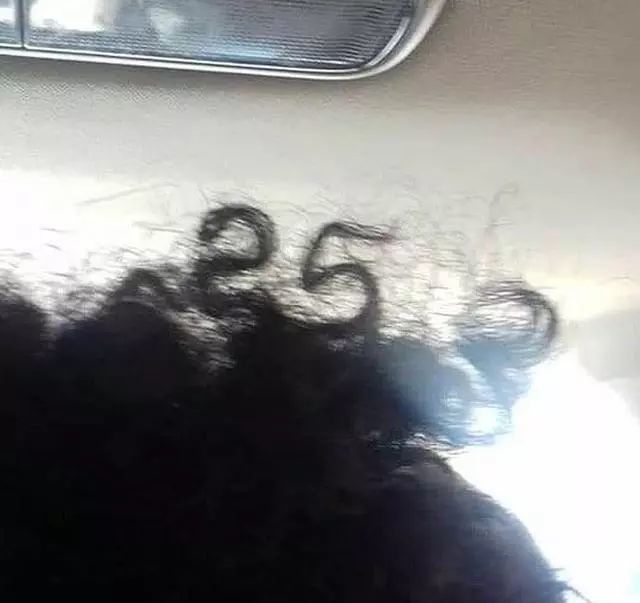 阿努比斯|18张不简单的照片，是巧合，还是特殊设计？