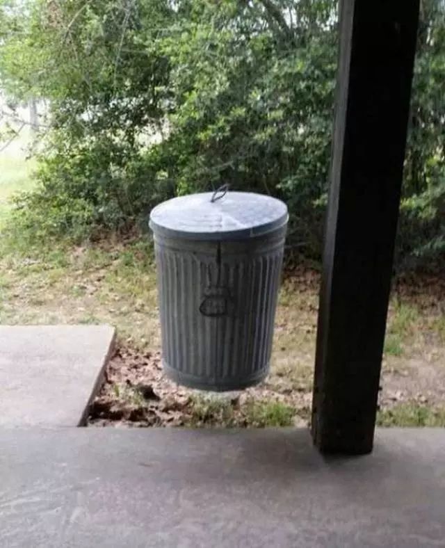 阿努比斯|18张不简单的照片，是巧合，还是特殊设计？