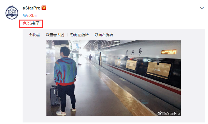 猫神和林教练的矛盾事件，最终是以怎么样的一种结局结束