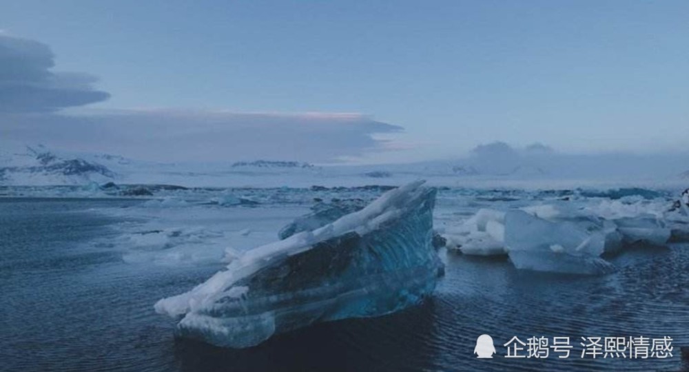 火星探测车|10个有趣的冷知识：了解一下增长知识
