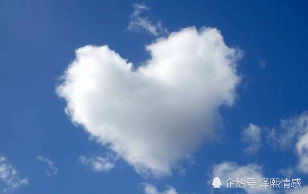 火星探测车|10个有趣的冷知识：了解一下增长知识