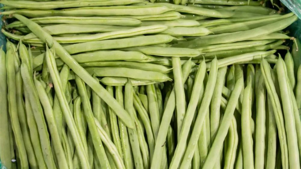 蔬菜|八条关于蔬菜的谣言，别再信了！