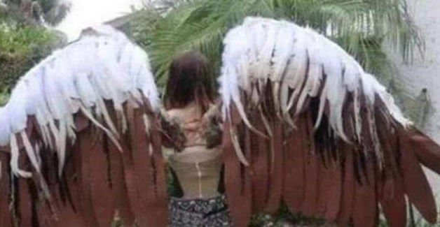 宣州谢朓楼饯别校书叔云|美国女子为实现“飞行梦”，花费100万在背部植入翅膀，结果怎样