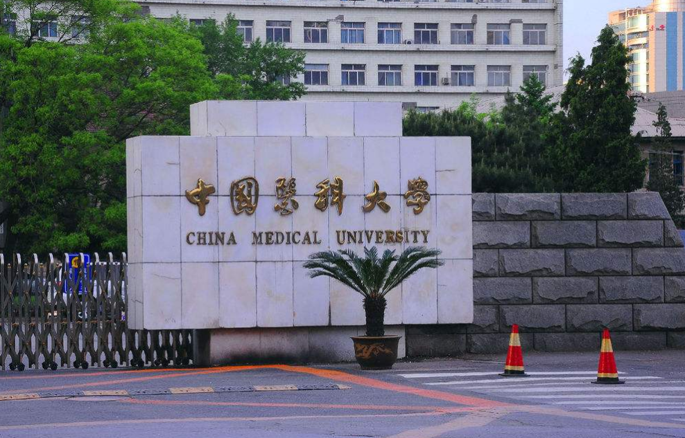 中国美术学院|除了北京，这些“国字头”大学，90％的人不知道它们的地址在哪里