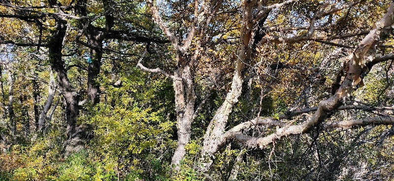 四马台|房山区四马台白草畔大美秋色