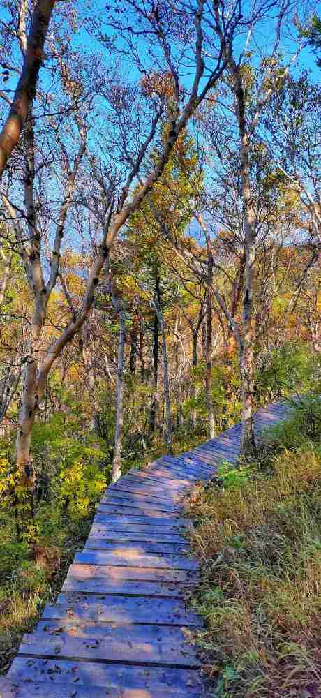 四马台|房山区四马台白草畔大美秋色