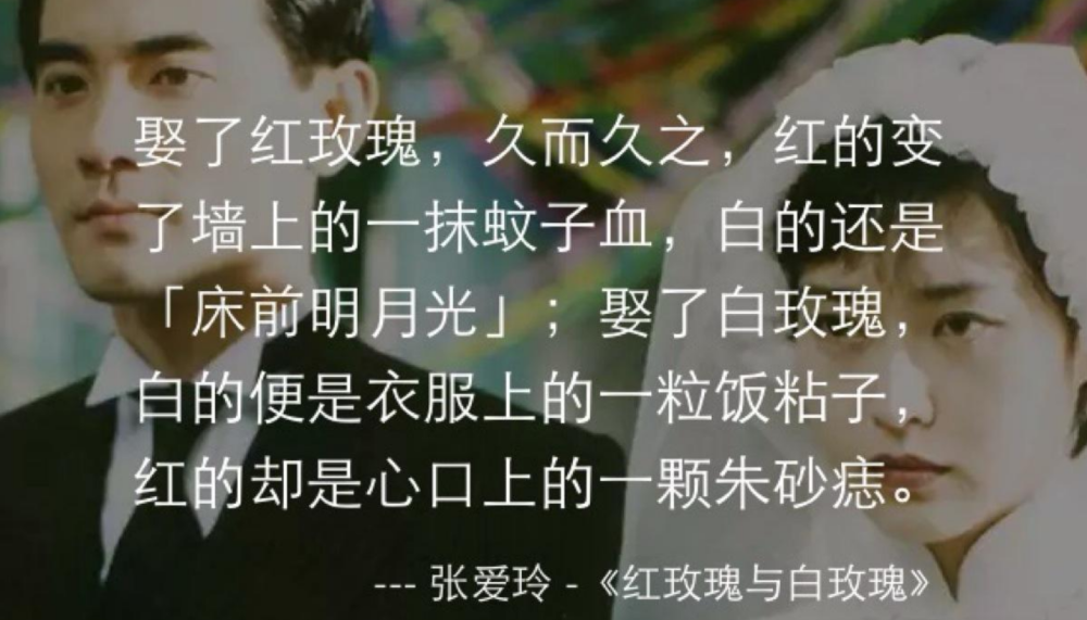 白玫瑰与红玫瑰原句(白玫瑰和红玫瑰的经典台词)