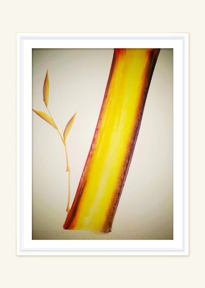 梨花|听一曲又见梨花开放