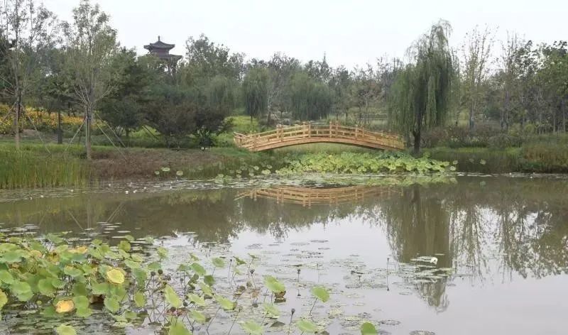 绿心森林公园|面积相当于1.8个颐和园！北京这个新建森林公园9月29日开园