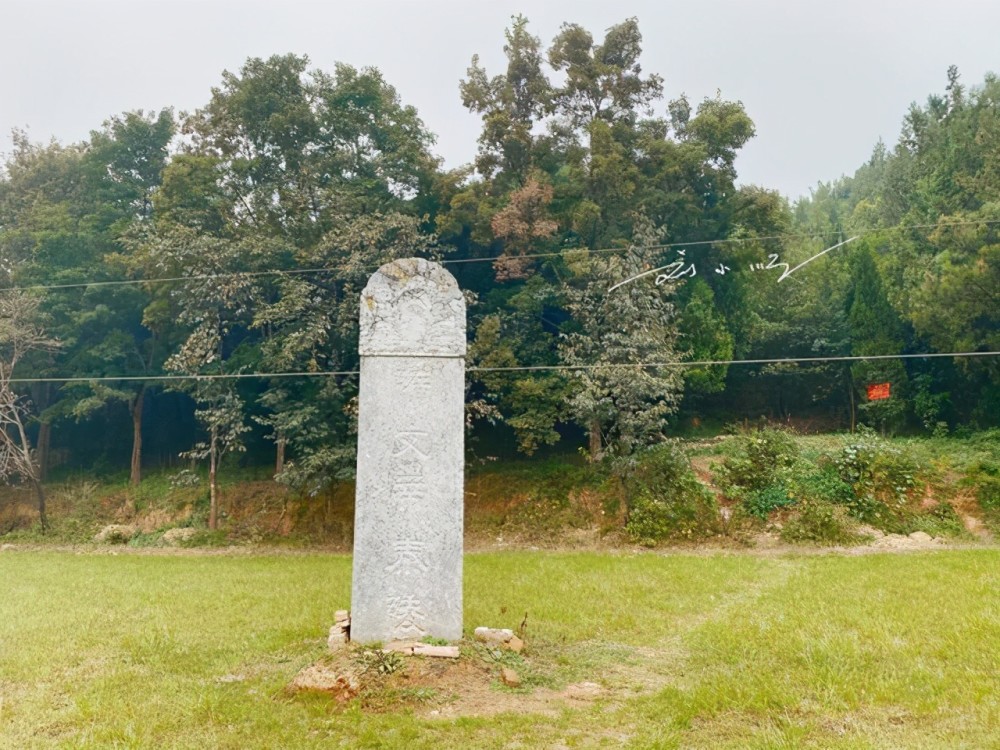 陕西省最隐蔽的皇帝陵墓藏在农田里游客以为只是个小土坡