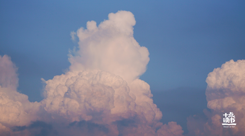 徐公|敢和你说真话的人，值得深交一辈子