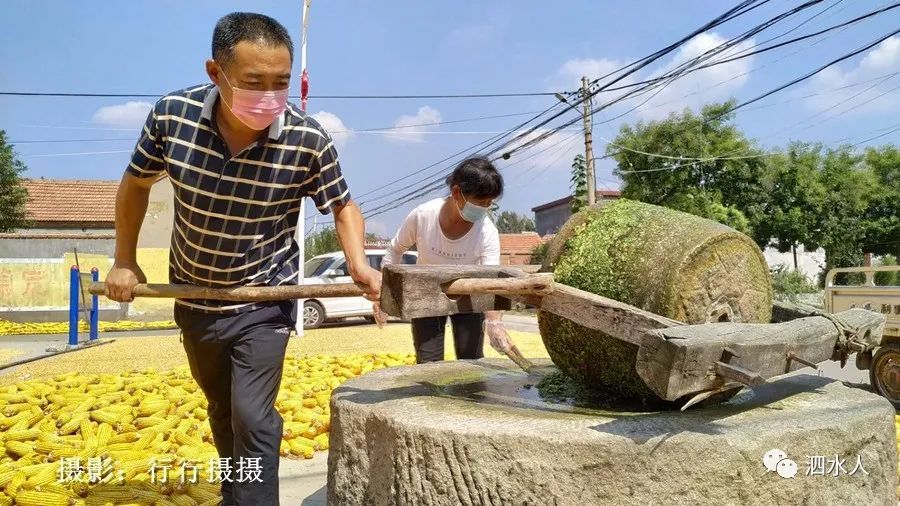 泗水第一书记的田园牧歌 腾讯新闻