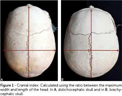 奥利维亚·赫西|东西方顶级神颜都共用同一张脸？