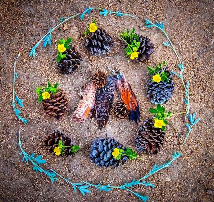 田鼠|每一只死去的动物都应有一个花环