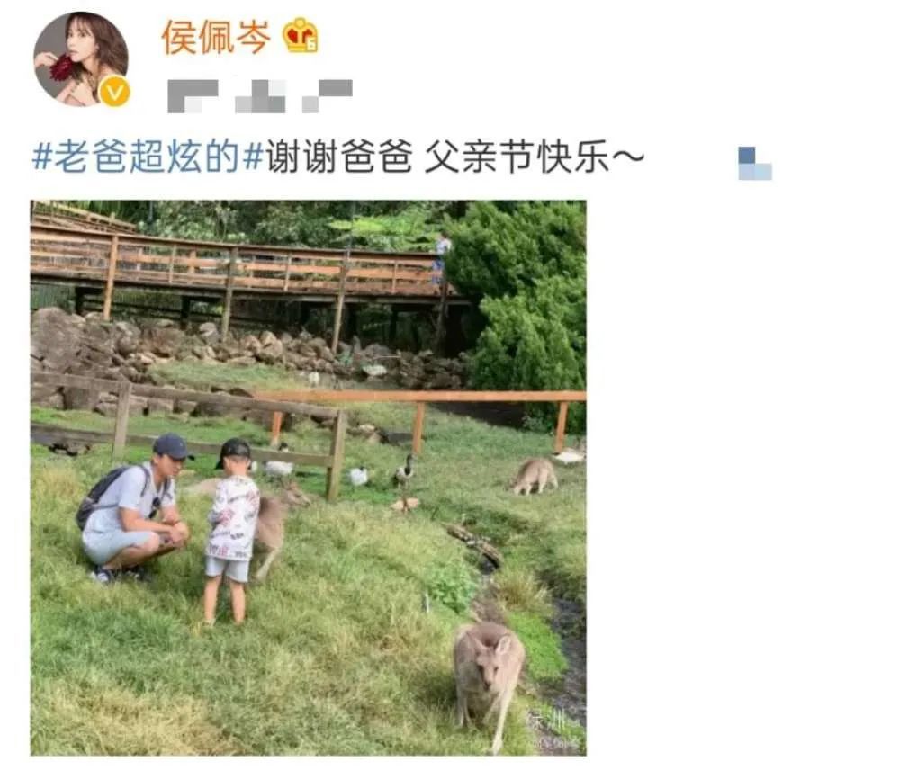 侯佩岑|他俩竟然遭遇社会性死亡？