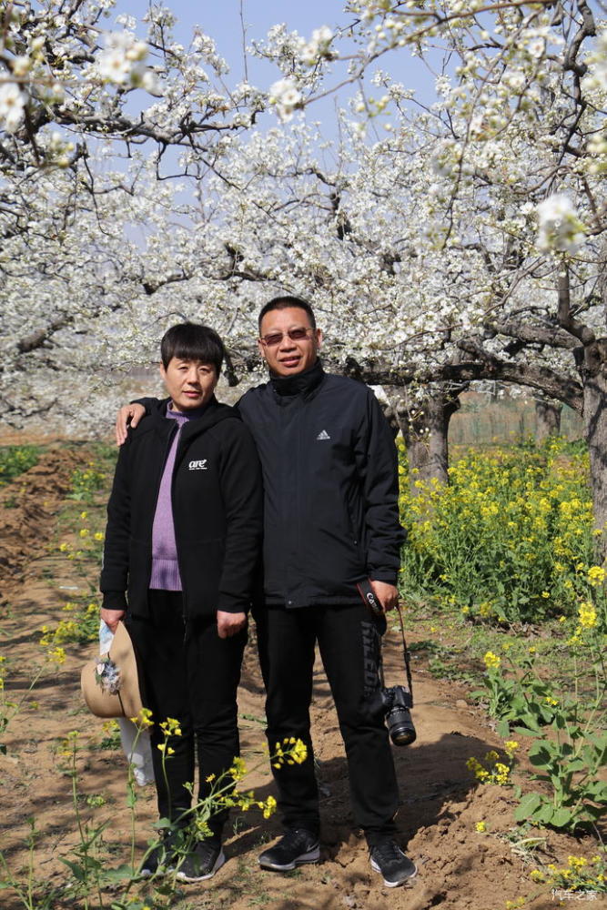 云满山,雪满天,千树万树梨花开——邹城老龙湾赏梨花_腾讯新闻