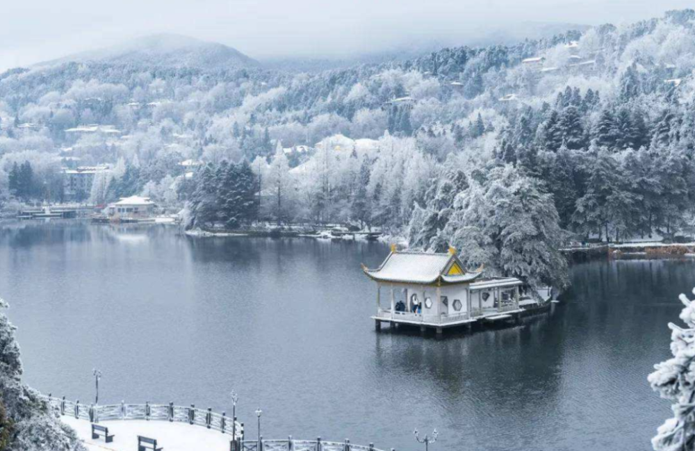 罗占国|罗占国：献给祖国的礼物