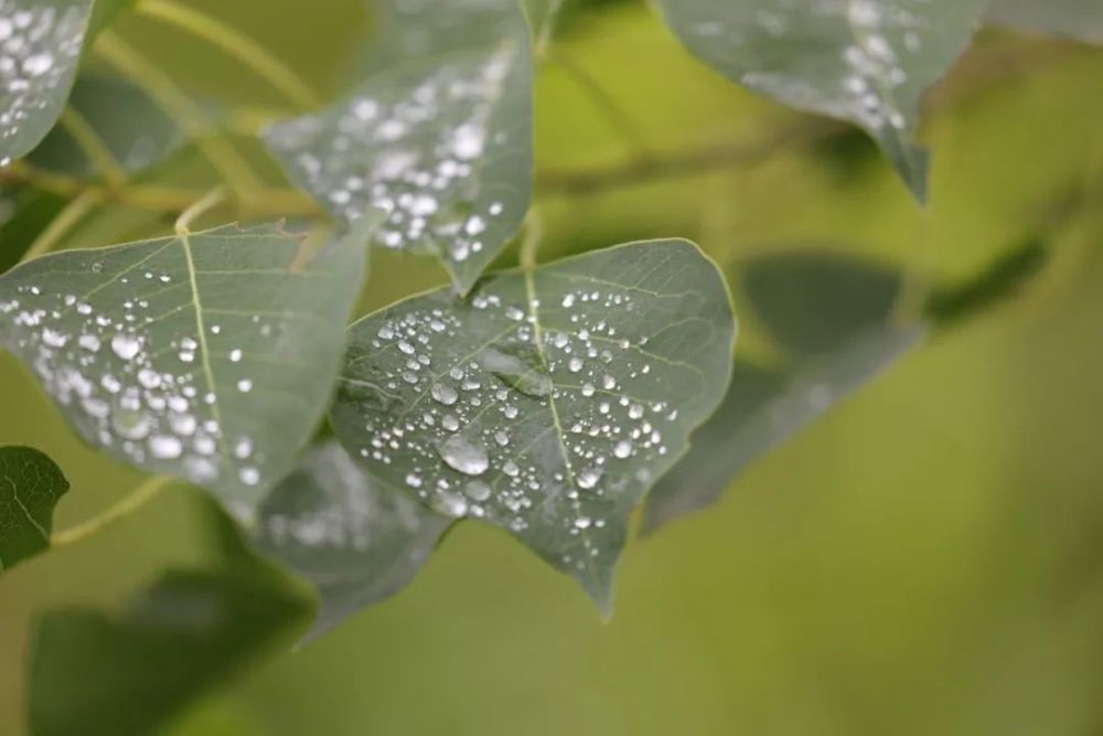 明镜|繁华落尽，给自己的人生留一点白